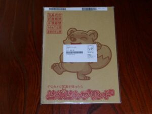 どんどんプリントの写真は薄味、色調補正弱め【画像付き感想】